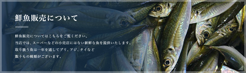 鮮魚販売について