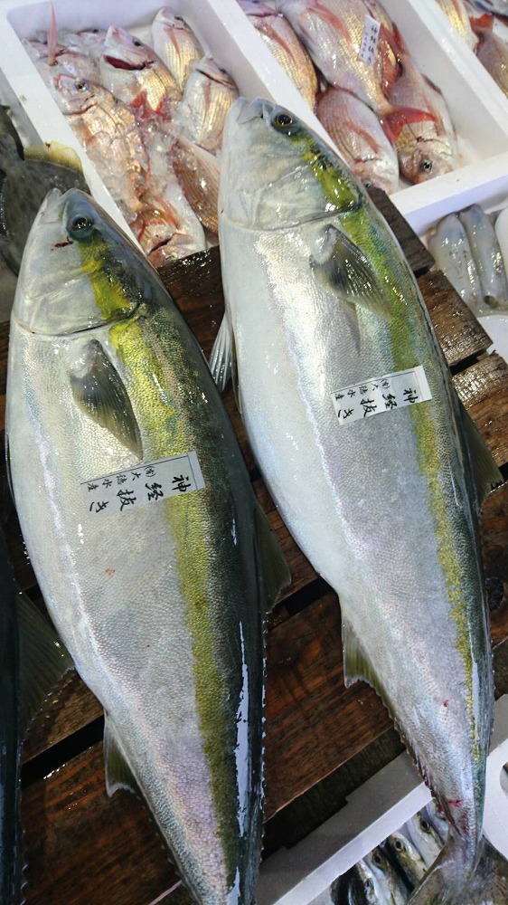 新鮮な魚をお安く提供