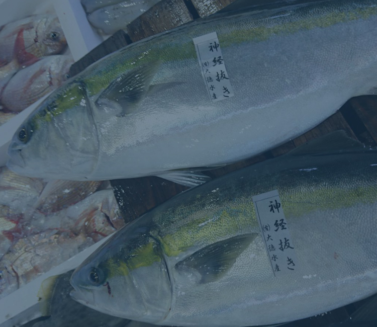 わかえびす活魚センター